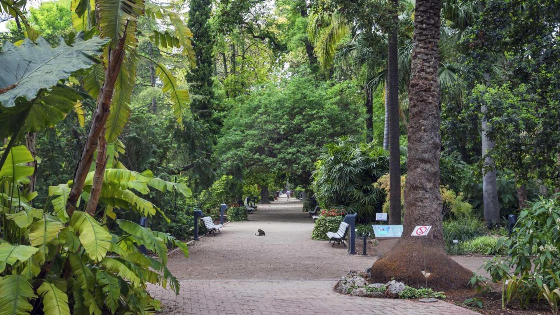 Apartmán Luxotica Gardens Valencie Exteriér fotografie